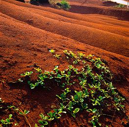 《合金装备：大师合集Vol.1》PS4版预购开启 10月24日多平台发售
